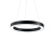 PROUZ «Ring»